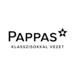Pappas autó - Cartis Flottakezelő - Flottakezelés - Tartós bérlet - tartósbérlet - nyílt végű lízing - operatív lízing - flotta autó lízing - Autóbérlés Budapest